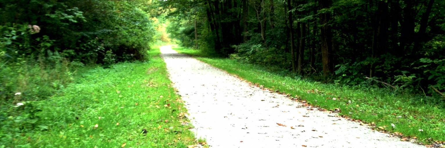 UpNRunningEburg's profile banner image