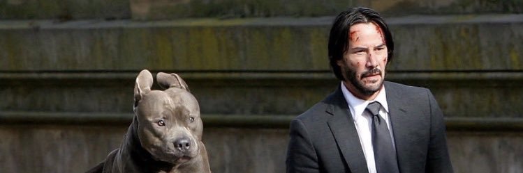 fdd_zemo's profile banner image