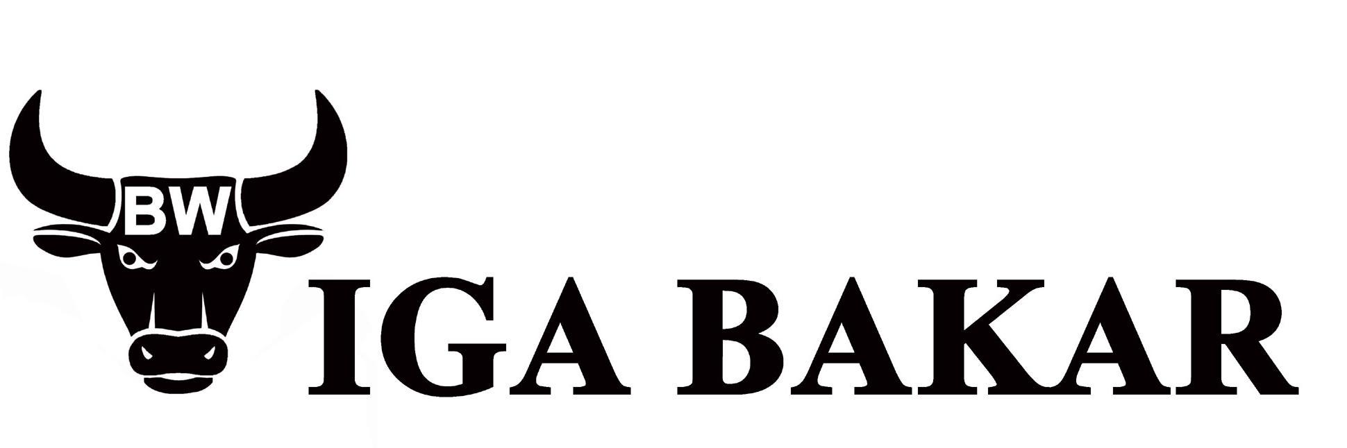 igabakarbw's profile banner image