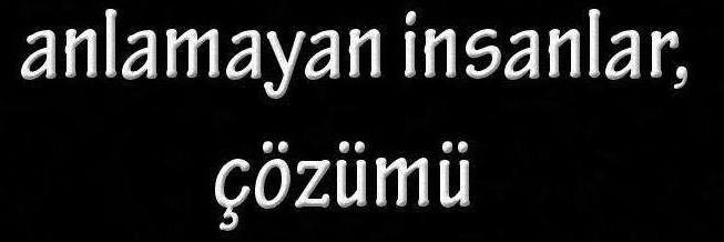 nevin_ozipek's profile banner image
