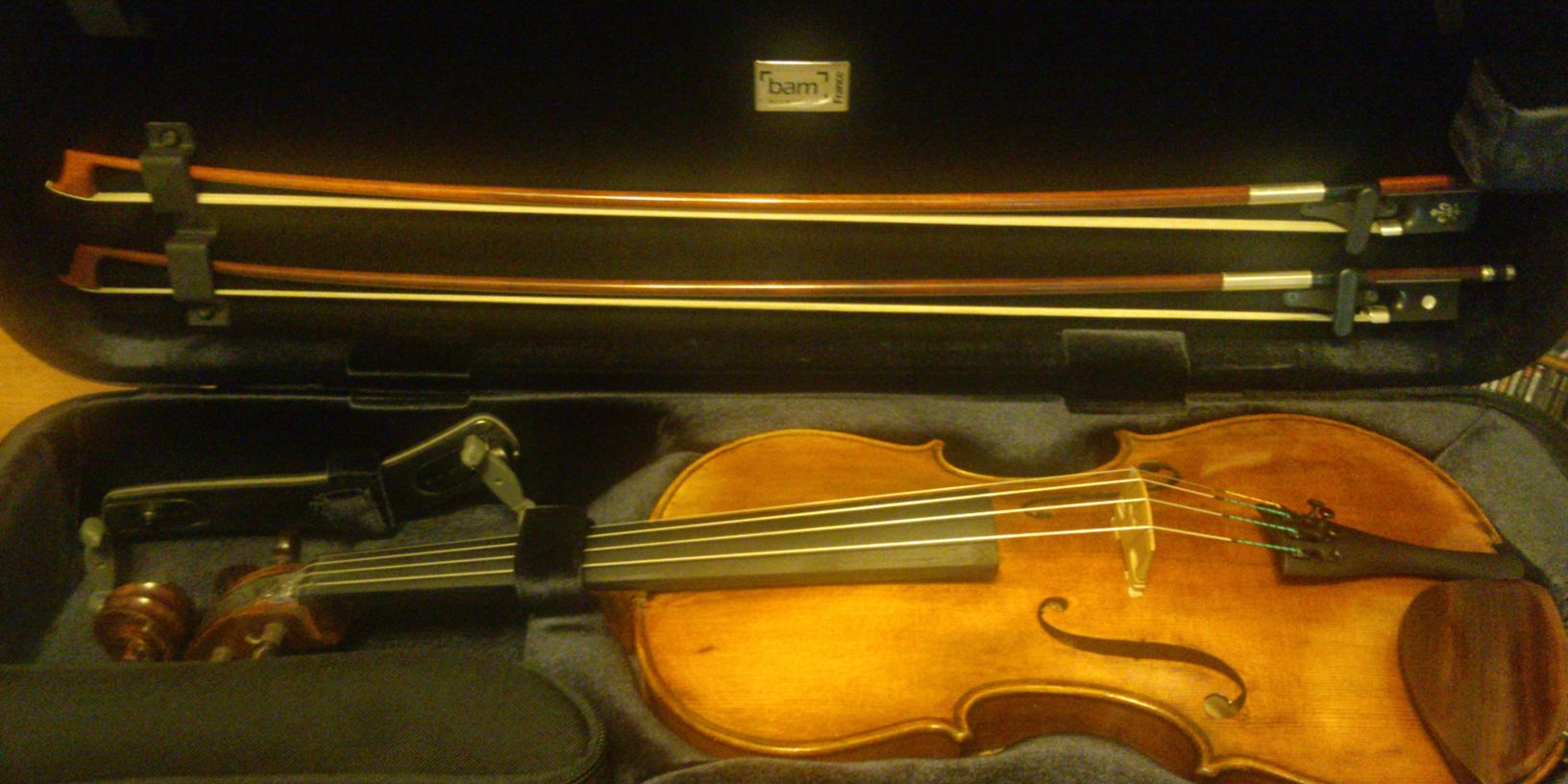 Caroline Saccucci banner