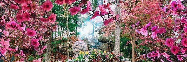 iMeriMarzi's profile banner image