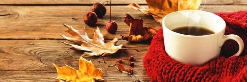 Kimmy 🍉 banner