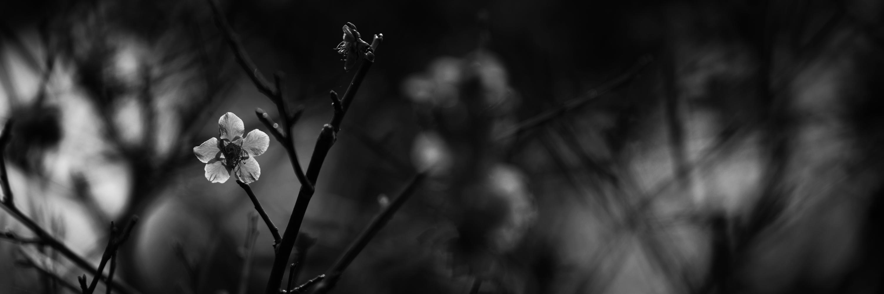 yosuke_ymd's profile banner image