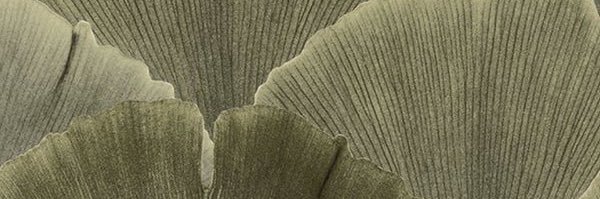 Mporche's profile banner image
