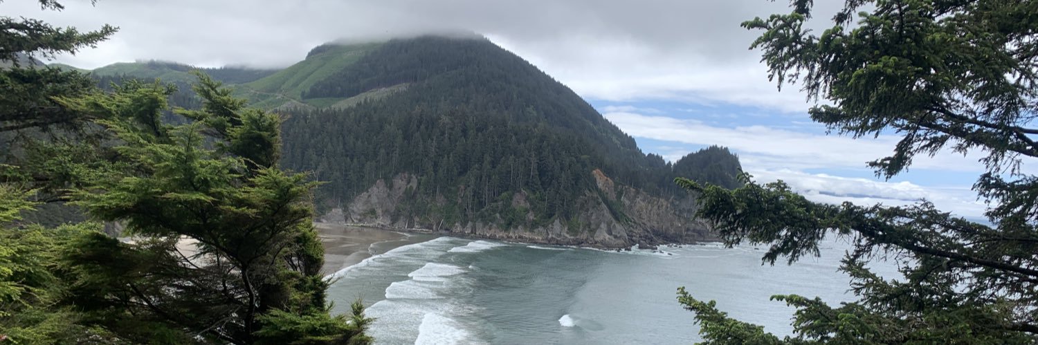 Mitchell Mudd banner