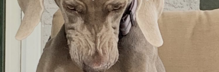 Knighted95's profile banner image