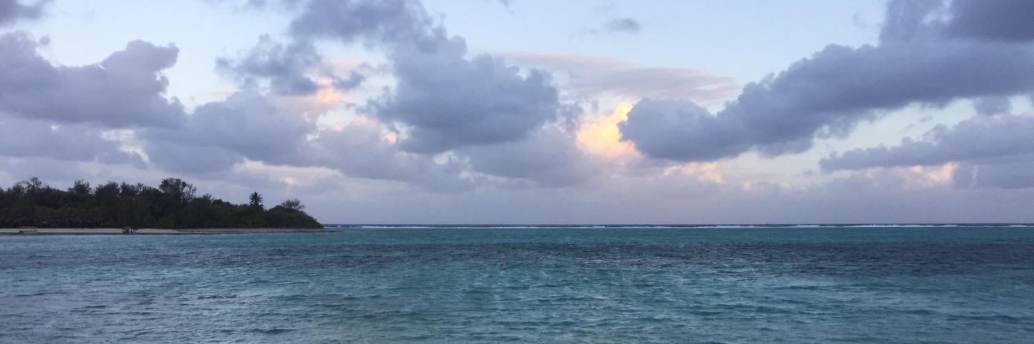 LillyGottlieb's profile banner image