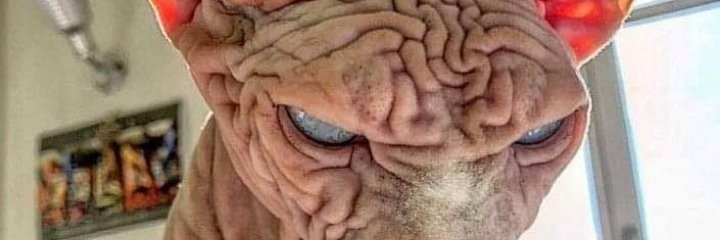 TheSorety's profile banner image