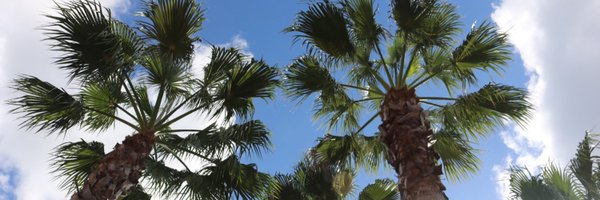 bsherm36 Profile Banner