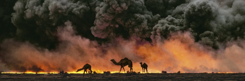 ALShibliRashed's profile banner image