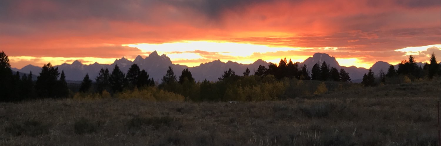 colton_larson3's profile banner image