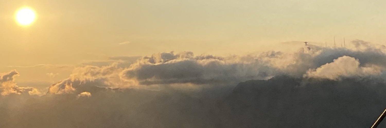 vickimilena's profile banner image