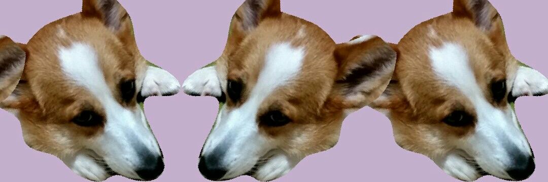 gaw_wan's profile banner image