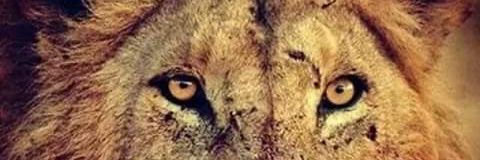 JukeThePrince's profile banner image