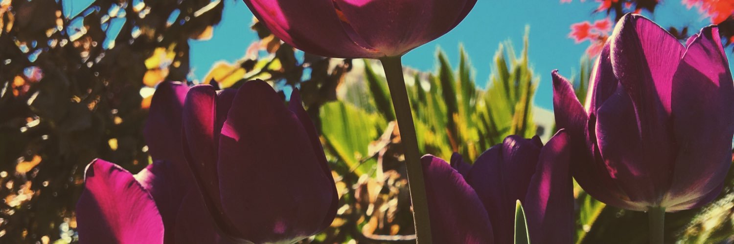 Mj_enn's profile banner image