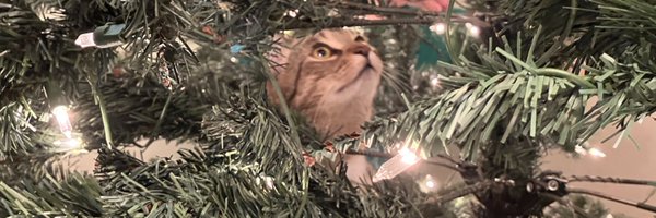 Samuel_Linton02 Profile Banner