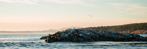 TheoryGod Profile Banner