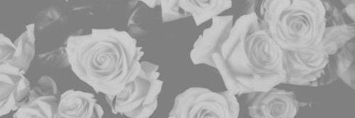 mendesusually's profile banner image