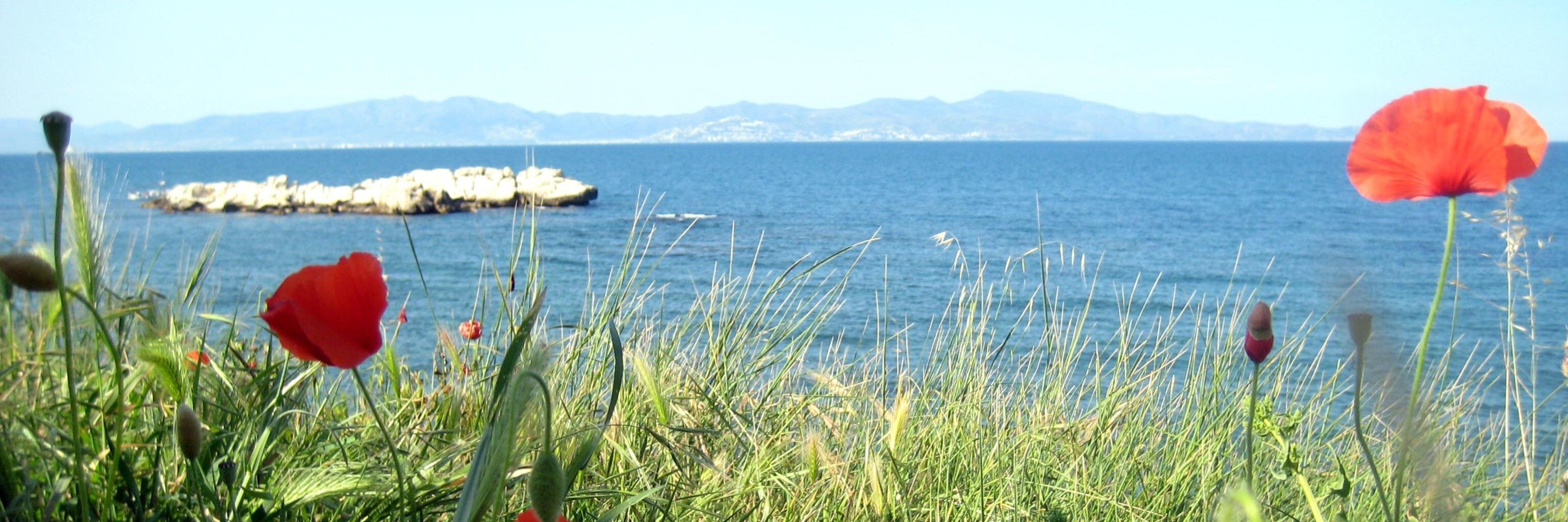 Egara_'s profile banner image