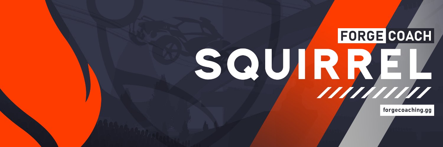 Squirrel 🐿️ banner