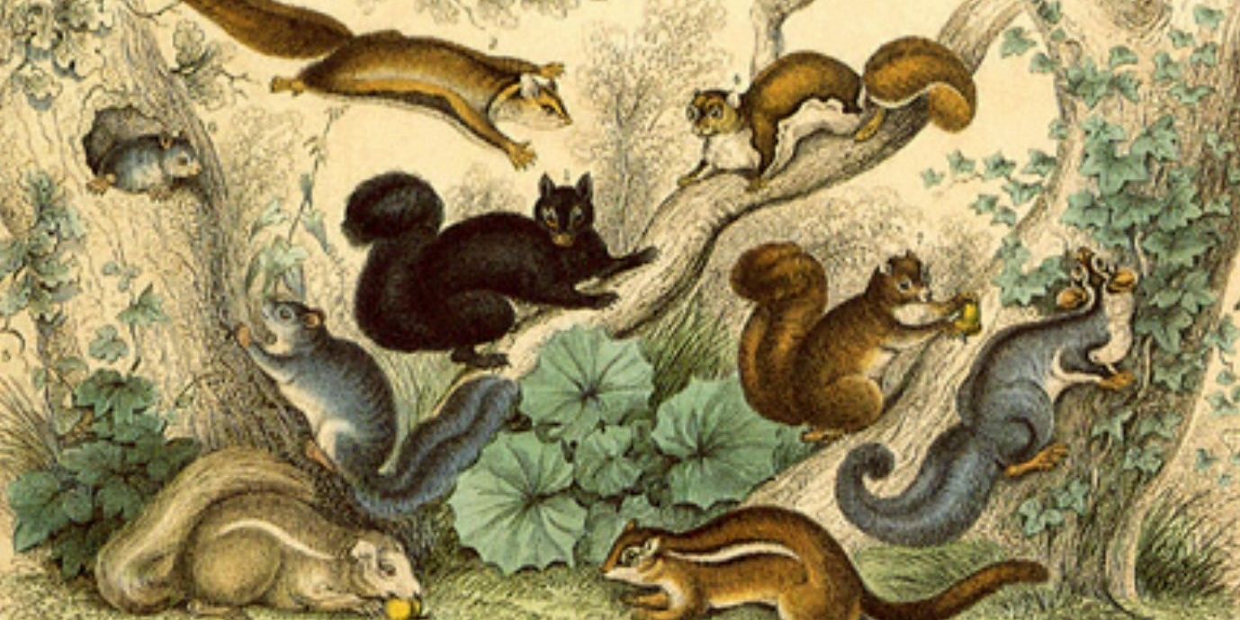Resident_Rodent's profile banner image