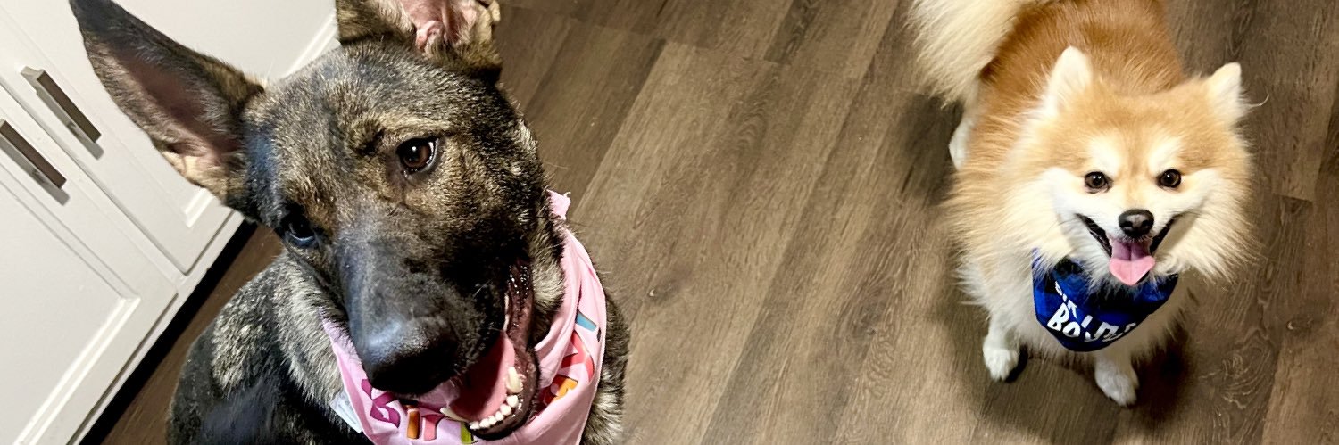 emilyboothe2's profile banner image