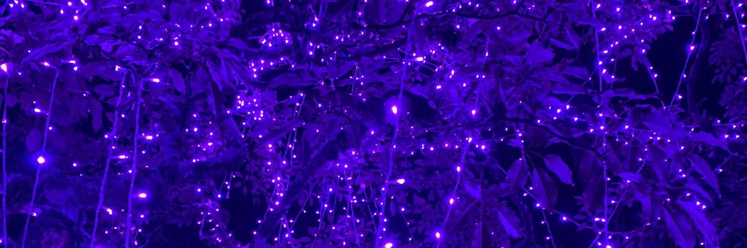 fafaegidio's profile banner image