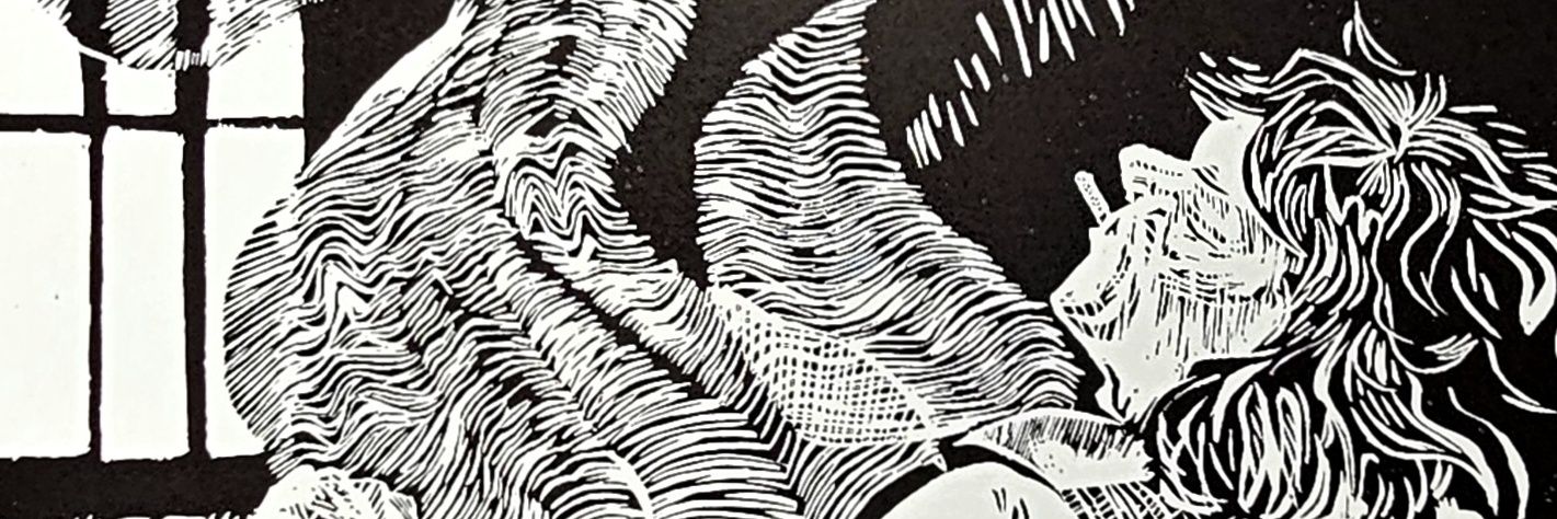 aquacure_'s profile banner image