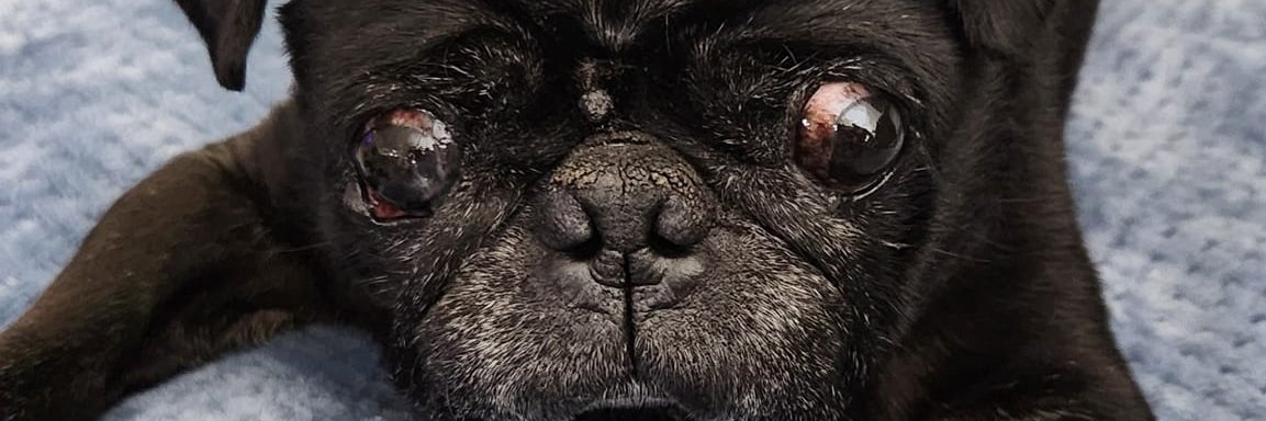 Natalie_81's profile banner image