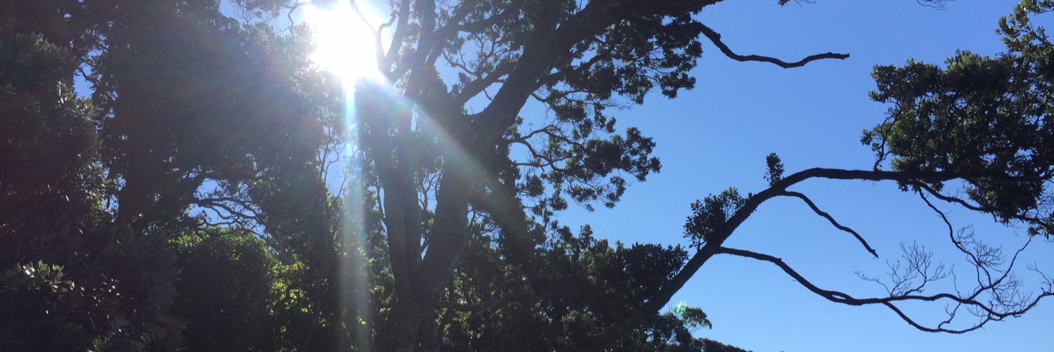 meesies's profile banner image
