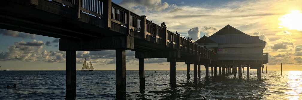 megcason's profile banner image