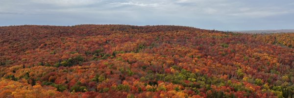 RepJenSchultz Profile Banner