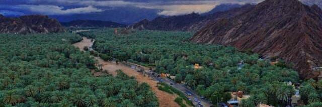 مريم الرواحي banner