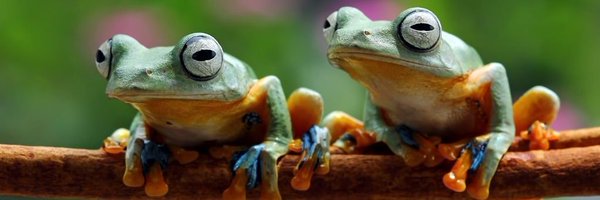 usernameadded Profile Banner