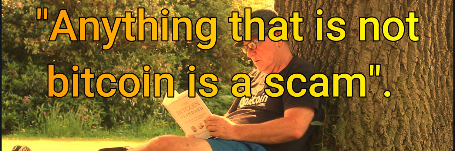 Tony Jefferies (Bitcoin Piano Man) banner