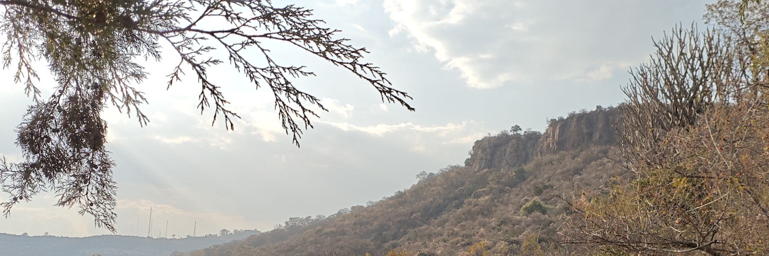 Elbaadude's profile banner image