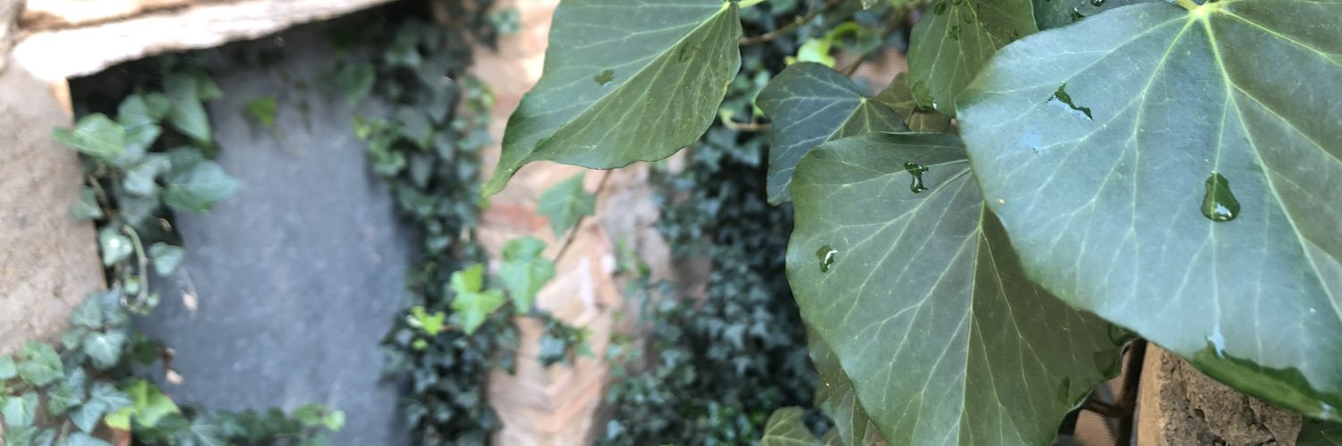evafreixa's profile banner image
