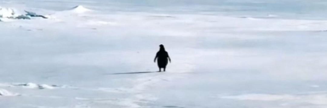 DougFromKC's profile banner image