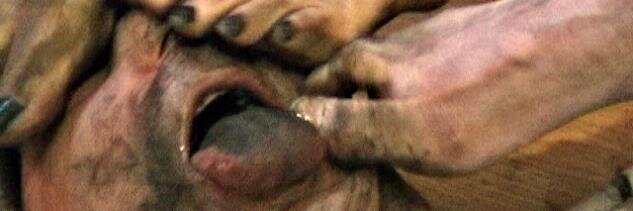 footcleaner's profile banner image