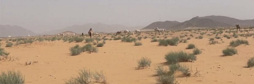 ابوسلمان banner
