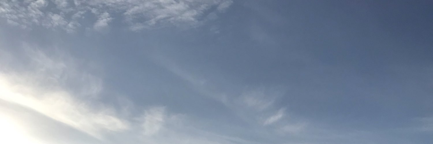 Bethany Coleman banner