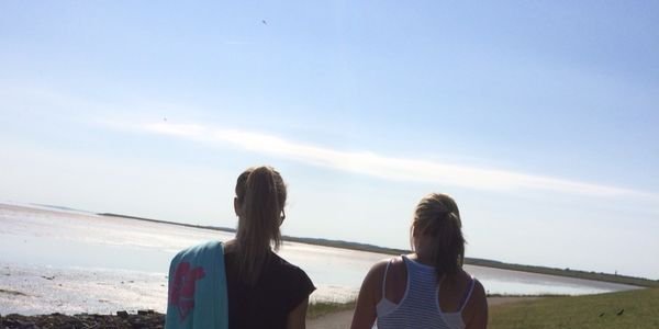 Simone banner