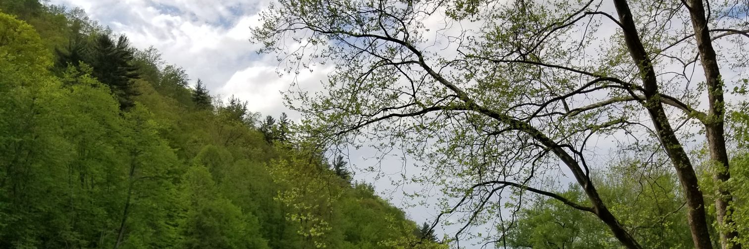 ahushon72's profile banner image