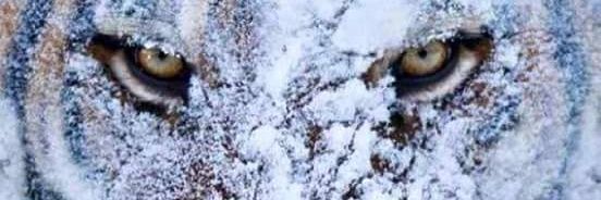 young hot banner