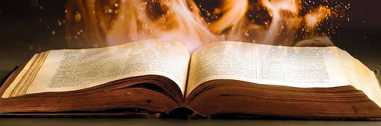 Annie🌷🌿🎺 banner