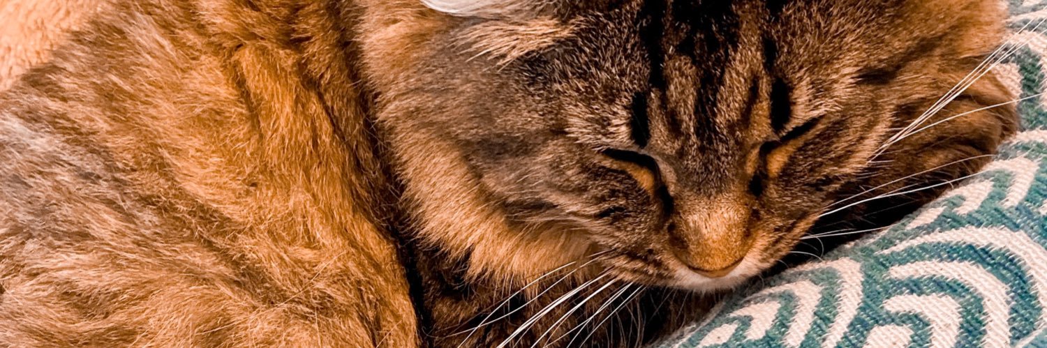 daurieeb's profile banner image