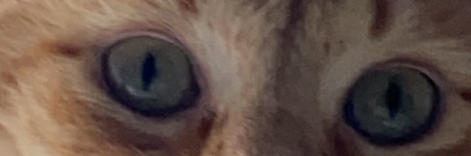 ps_1997_'s profile banner image