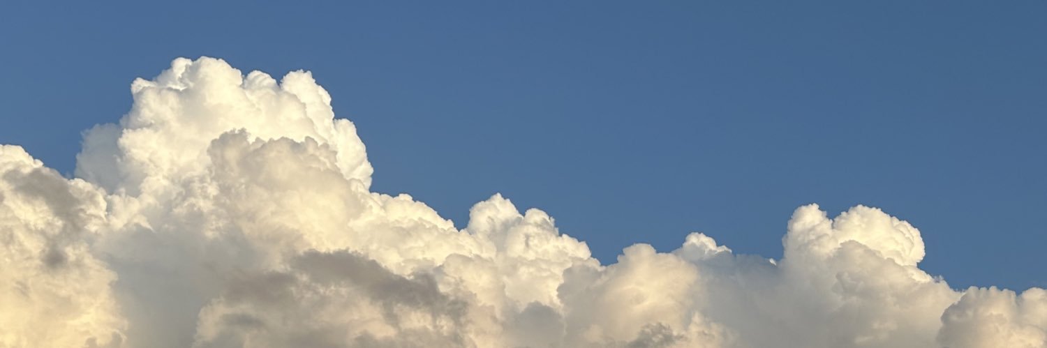 elisabeth ☾ banner