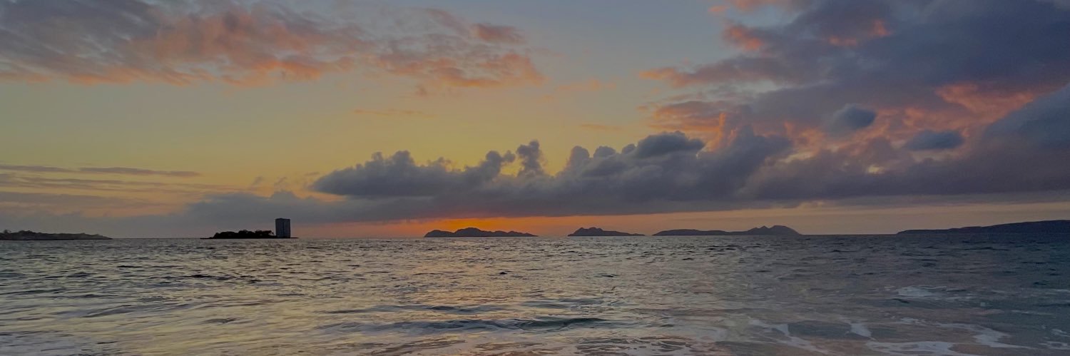 davidrubor's profile banner image